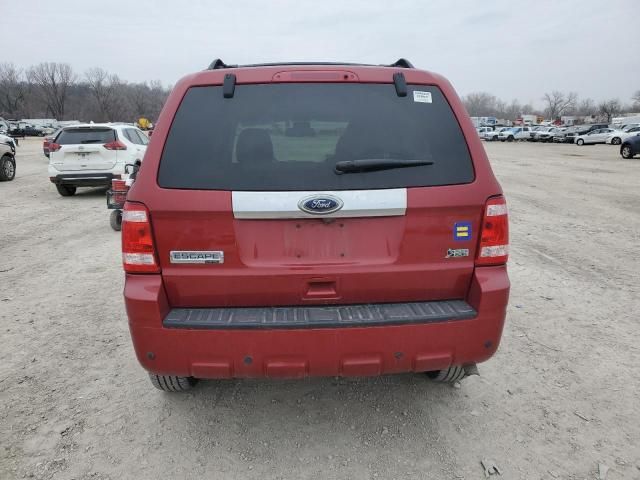 2011 Ford Escape Limited