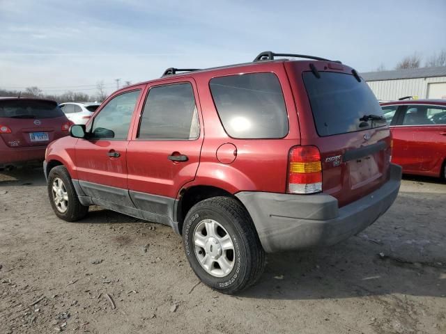 2004 Ford Escape XLT