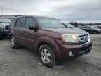 2011 Honda Pilot EXL