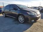 2010 Lexus HS 250H