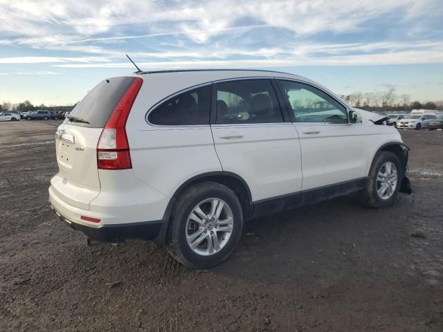 2010 Honda CR-V EXL