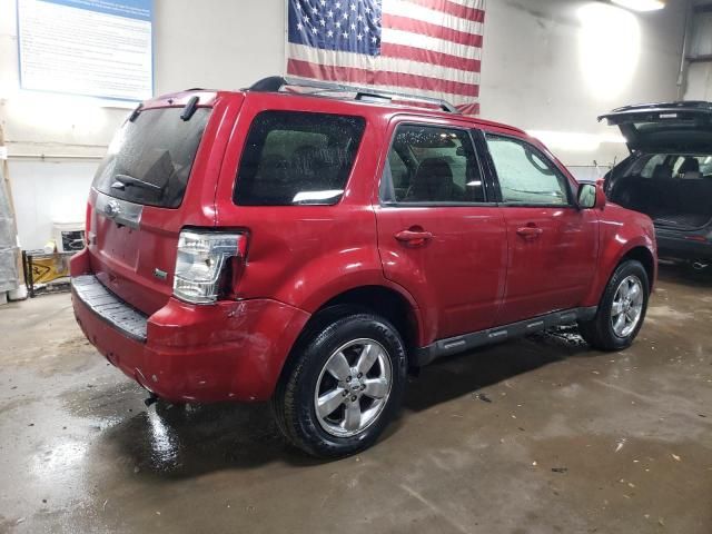 2011 Ford Escape Limited