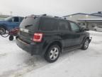 2010 Ford Escape Limited