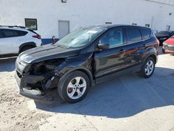 Salvage cars for sale at Farr West, UT auction: 2014 Ford Escape SE