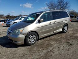 Salvage cars for sale at Baltimore, MD auction: 2005 Honda Odyssey EX