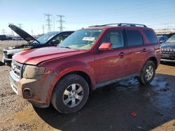 2012 Ford Escape Limited en venta en Elgin, IL