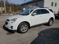 Salvage cars for sale at York Haven, PA auction: 2013 Chevrolet Equinox LT