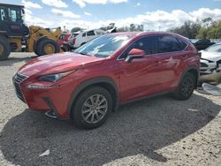 Salvage cars for sale at Riverview, FL auction: 2019 Lexus NX 300 Base