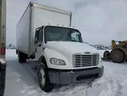 Freightliner salvage cars for sale: 2019 Freightliner M2 106 Medium Duty