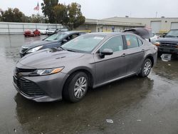 Salvage cars for sale at Martinez, CA auction: 2020 Toyota Camry LE