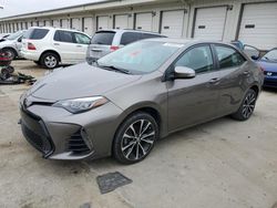 Salvage cars for sale at Louisville, KY auction: 2018 Toyota Corolla L