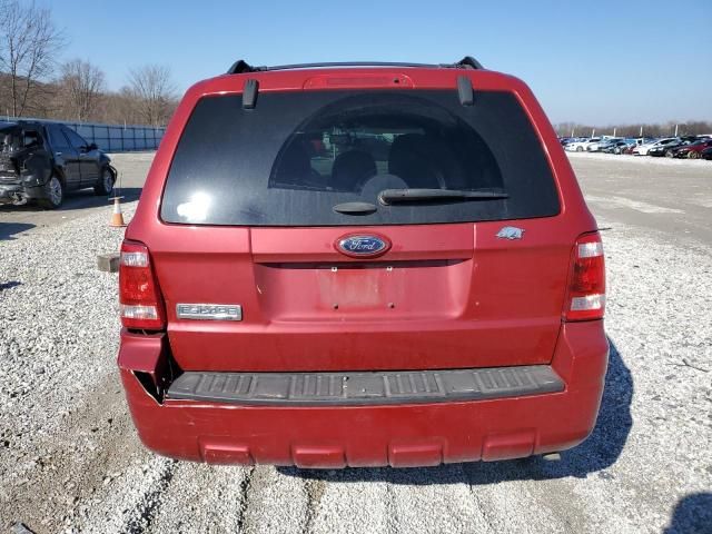 2011 Ford Escape XLT