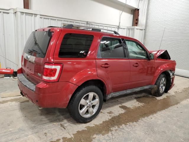 2012 Ford Escape Limited