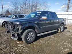 Salvage cars for sale at Windsor, NJ auction: 2014 Ford F150 Supercrew