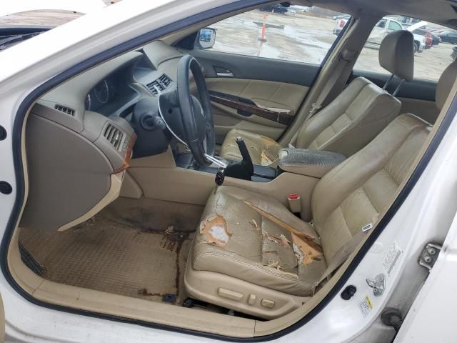 2008 Honda Accord EXL