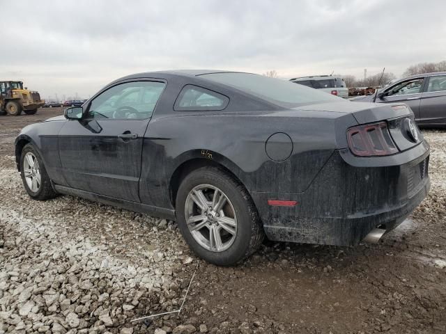 2014 Ford Mustang