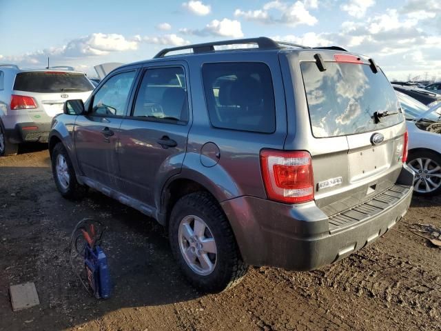 2010 Ford Escape XLT