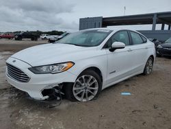 Salvage cars for sale at West Palm Beach, FL auction: 2019 Ford Fusion SE