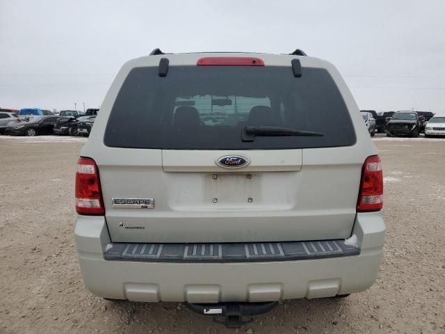 2008 Ford Escape XLT