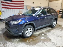 Toyota rav4 xle salvage cars for sale: 2021 Toyota Rav4 XLE