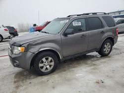 Clean Title Cars for sale at auction: 2010 Ford Escape XLT