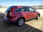 2010 Honda CR-V EXL