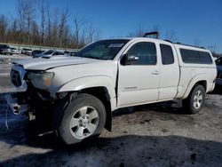 Salvage cars for sale at Leroy, NY auction: 2013 Toyota Tacoma