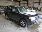 2010 Ford Escape Limited