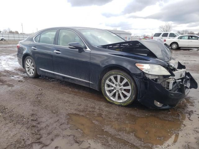 2011 Lexus LS 460