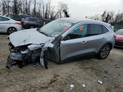 Salvage cars for sale at Baltimore, MD auction: 2022 Ford Escape SEL