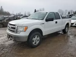 Ford salvage cars for sale: 2013 Ford F150 Super Cab