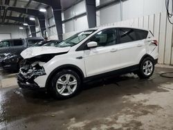 Salvage cars for sale at Ham Lake, MN auction: 2016 Ford Escape SE