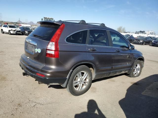 2010 Honda CR-V EXL