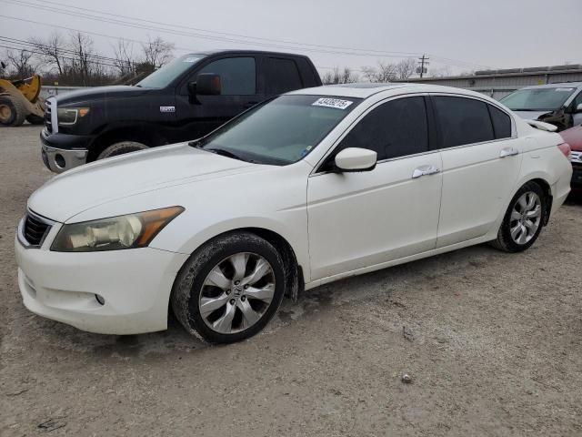 2010 Honda Accord EXL