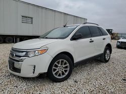 Salvage cars for sale at Taylor, TX auction: 2013 Ford Edge SE