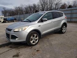 Salvage cars for sale from Copart Rogersville, MO: 2013 Ford Escape SE