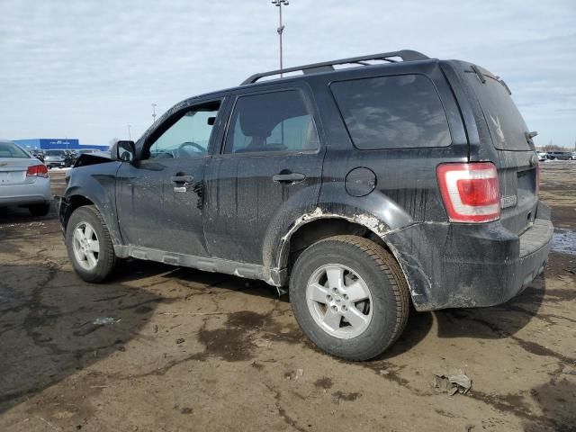 2009 Ford Escape XLT