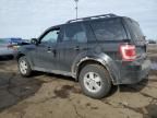 2009 Ford Escape XLT