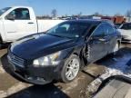 2010 Nissan Maxima S