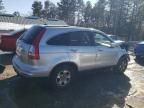 2011 Honda CR-V EXL