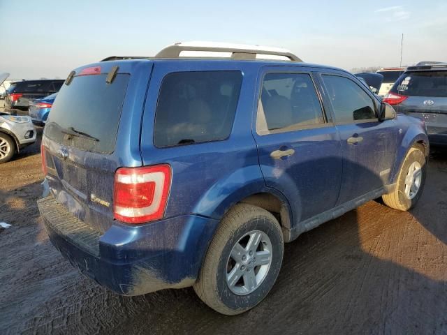 2008 Ford Escape HEV