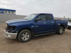 Dodge Vehiculos salvage en venta: 2010 Dodge RAM 1500