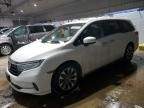 2021 Honda Odyssey EXL