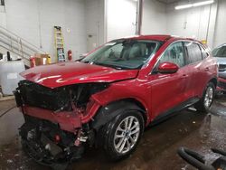 Salvage cars for sale at New Britain, CT auction: 2020 Ford Escape SE