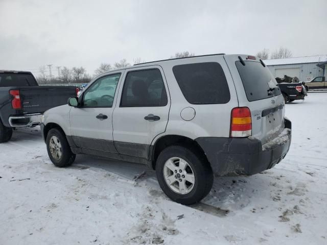 2007 Ford Escape XLT