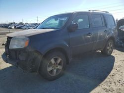 Salvage cars for sale at Eugene, OR auction: 2011 Honda Pilot EXL