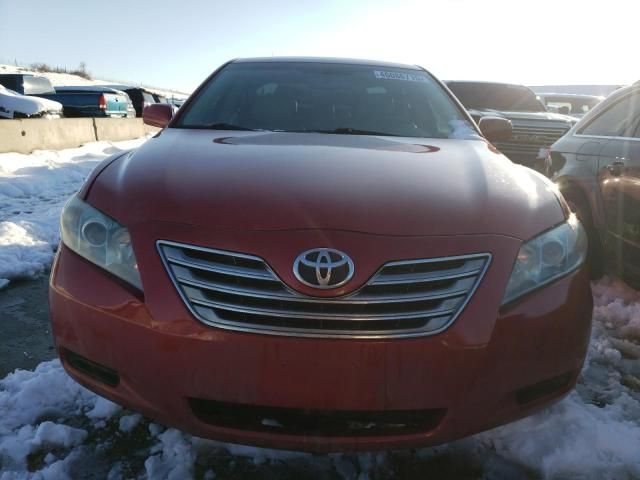 2009 Toyota Camry Hybrid