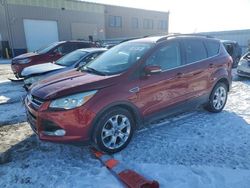 Salvage Cars with No Bids Yet For Sale at auction: 2013 Ford Escape SEL