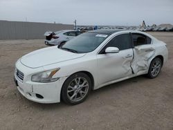 Nissan salvage cars for sale: 2014 Nissan Maxima S