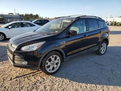 Ford Escape salvage cars for sale: 2013 Ford Escape SE